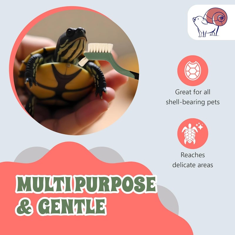 Snout and Shell Turtle Cleaning Brush - Gently Remove Dirt from Turtles and Tortoises - Blue by - Image 5